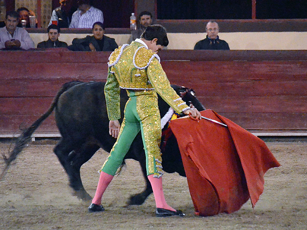 Faena de altos vuelos de Fermn
