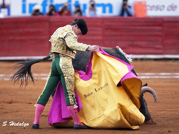 Urdiales, torero con arte