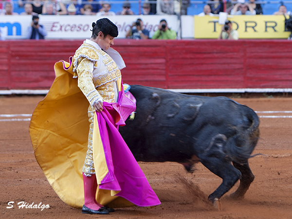Pizarro y el mejor toro de la tarde