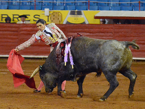 Lupita, eslabonando los detalles