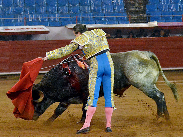 Un toro de gran clase