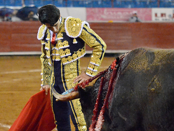 Profesional y esforzado