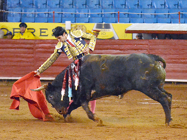 Mostrando sus cualidades