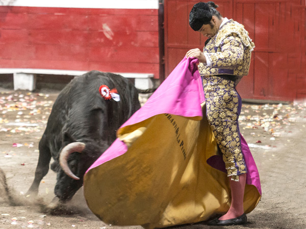 Una ver�nica del artista