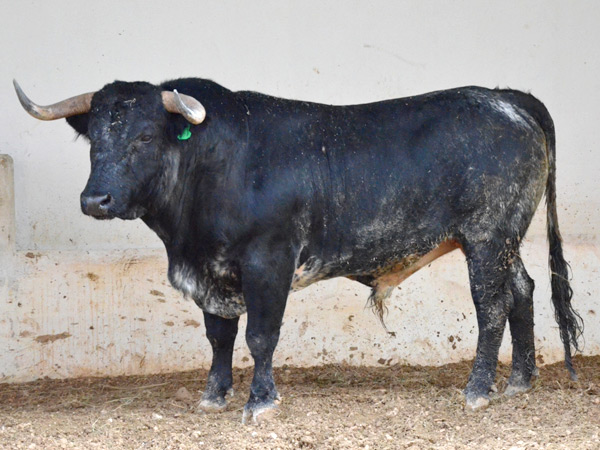 No. 170 (Rancho Seco)