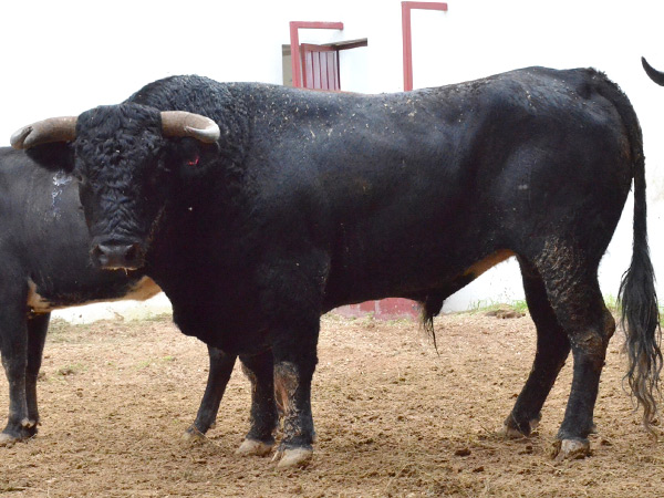 No. 146 (Rancho Seco)