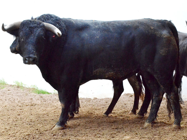 No. 172 (Rancho Seco)