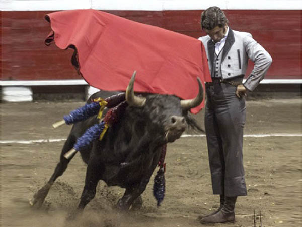 Sentimiento de Morante