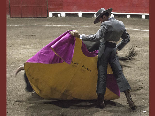 Plante� una lidia compleja