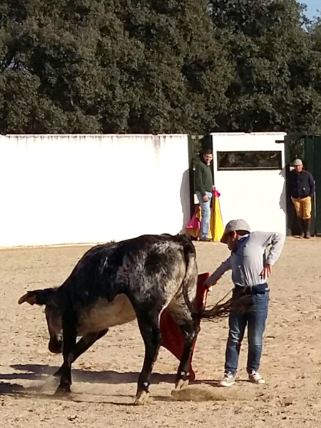 Asentado hasta el final