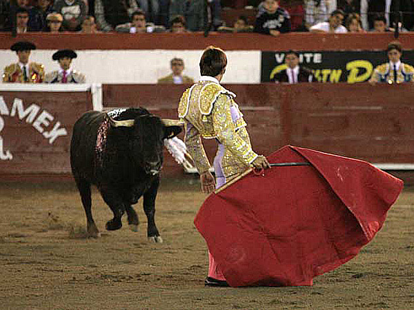 Inici� con el p�ndulo