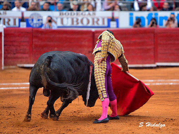 Buscando hacer faena