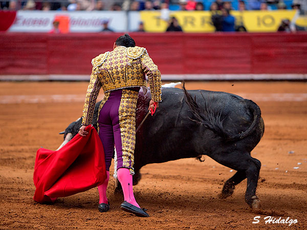 Dejando caer el enga�o