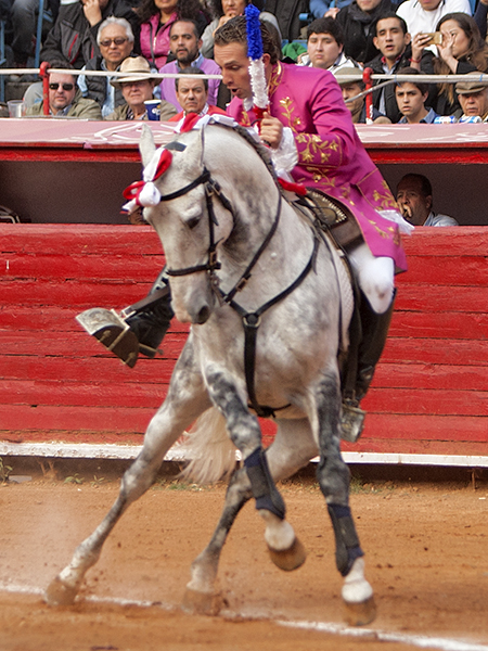 Fall� con la espada