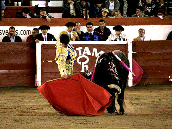 Aqui est� El Capea