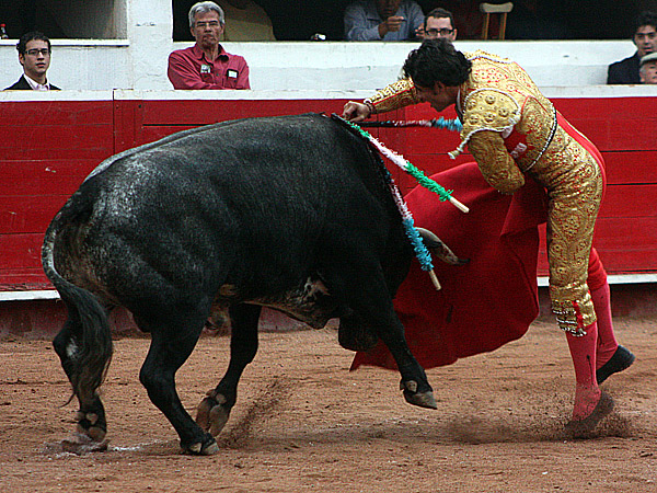 �Menuda r�brica!