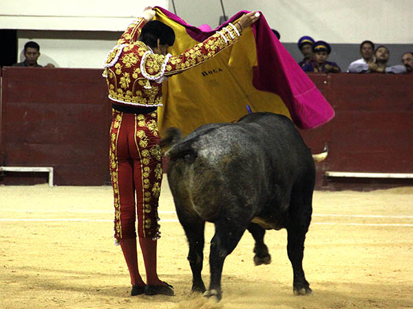 Variedad en los quites