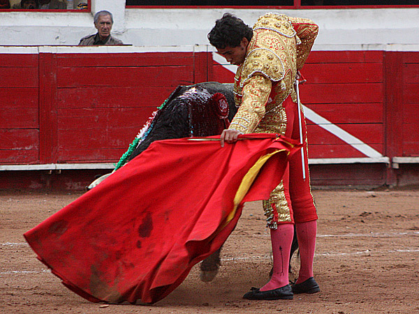Un concierto al natural de Adame