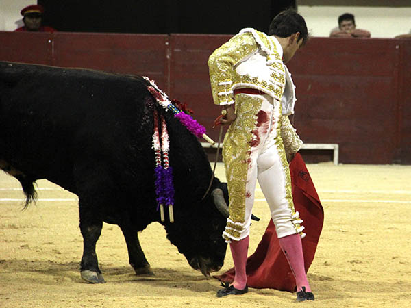 Dosantinas por el lado zurdo