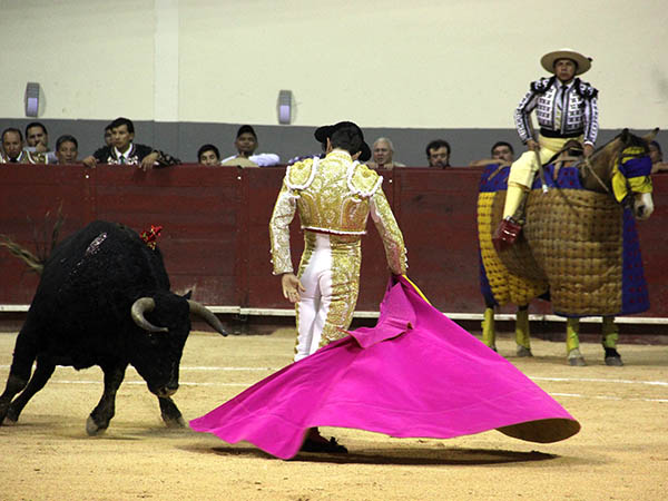 Los vuelos del capote