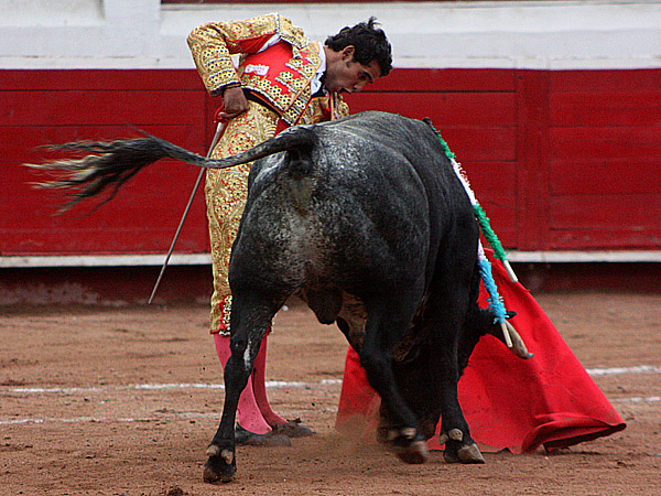 Embarcando la embestida