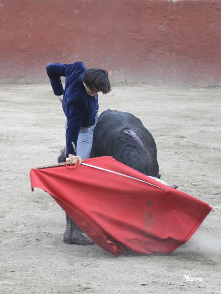 Ce�idos derechazos