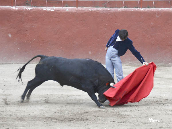 La actuaci�n de Roca Rey