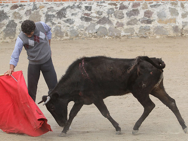 El hidroc�lido, gust�ndose