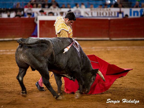 Pinceladas de torero grande