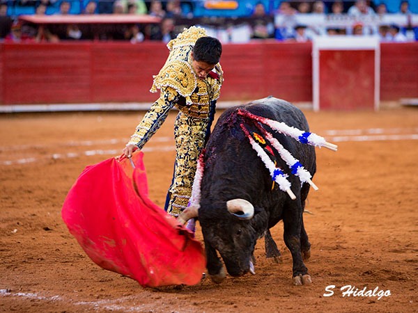 Sergio Flores, buscando el triunfo