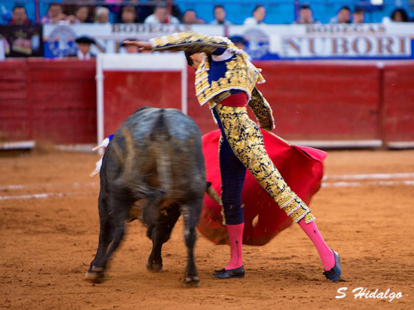 Inconfundible estilo