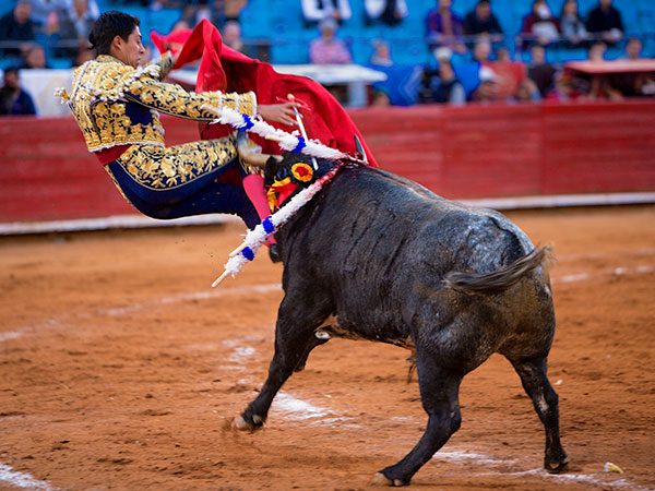 El tlaxcalteca, enganchado