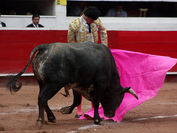 Rematando Fernando Ochoa