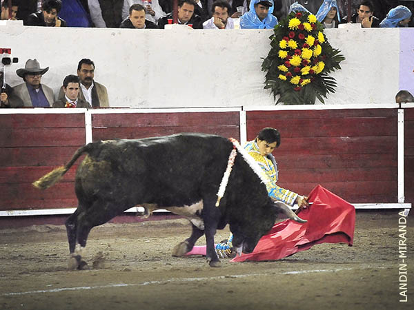 Doblones rodilla en tierra