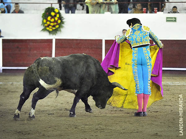 Suavidad en el capote