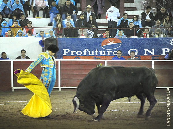 Saludo a pies juntos