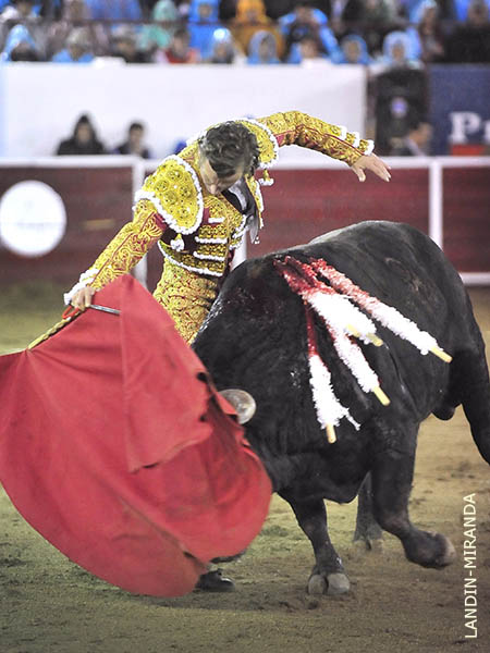 Coreado por el derecho