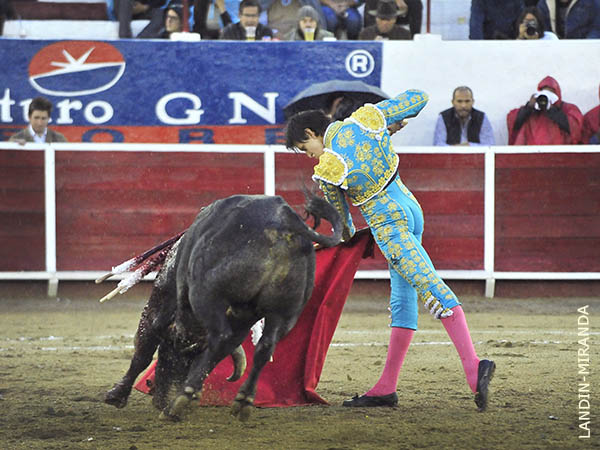 Mostrando el repertorio