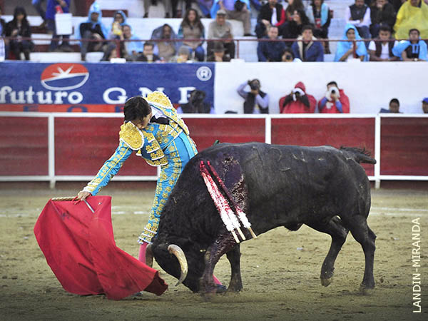 Tres magn�ficas por el derecho