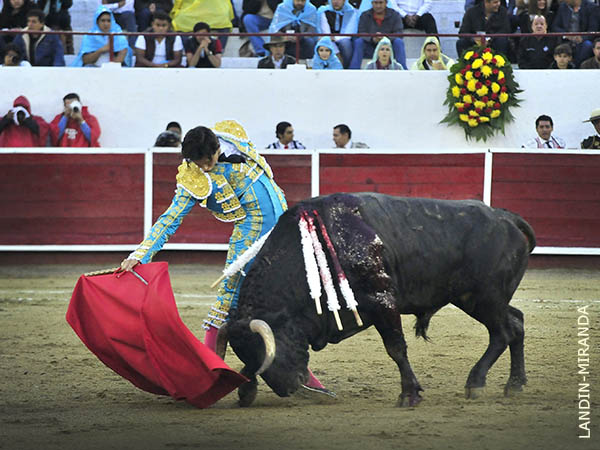 Ah� mismo, el de vuelta