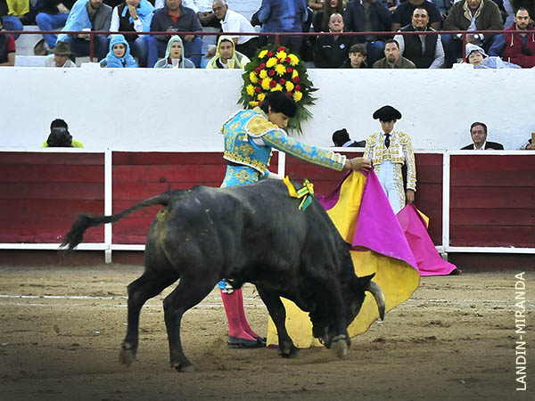 Variedad en el quite