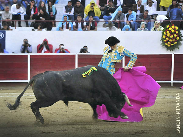 Las chicuelinas de Roca Rey