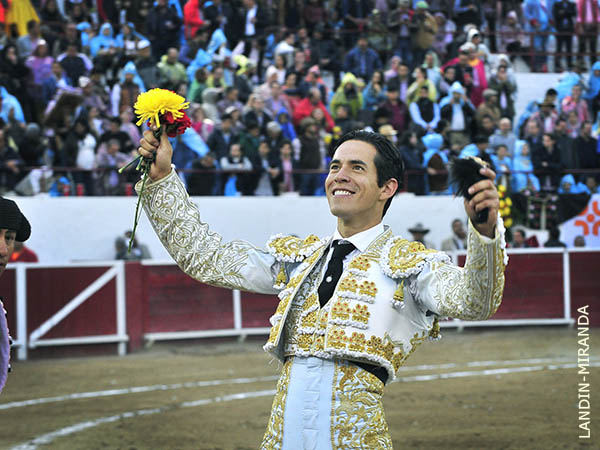 Pase� crisantemo y oreja