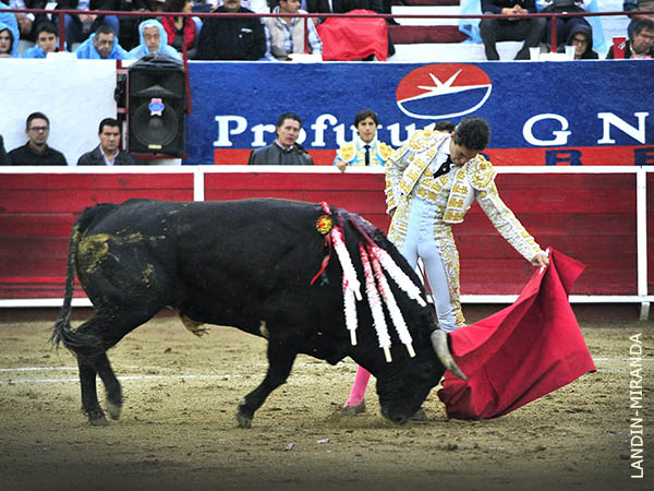 Noble por el izquierdo