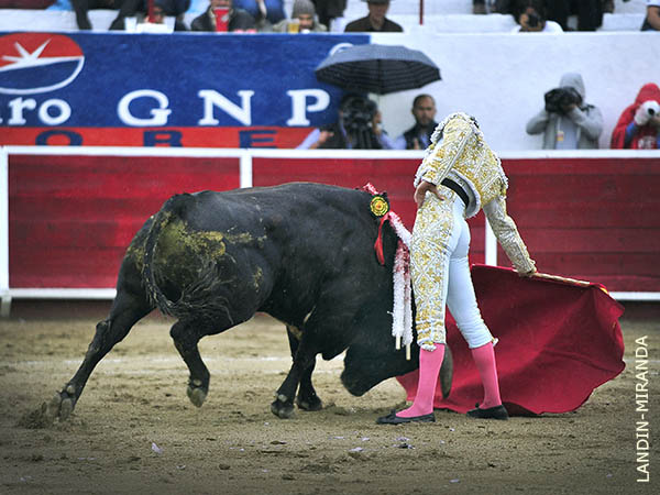 Sentimiento salmantino