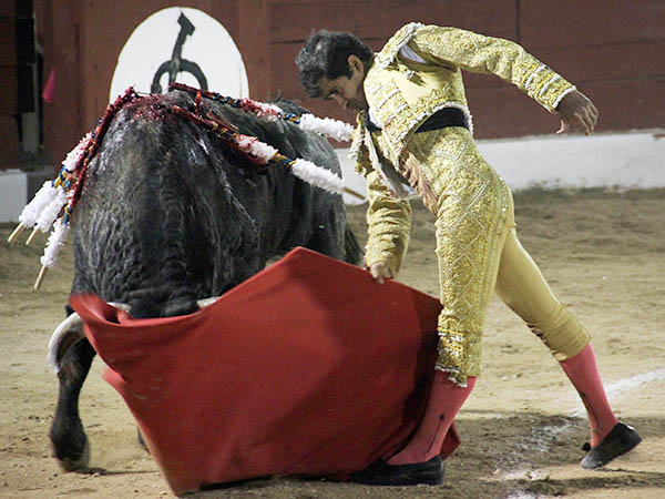 Entregado sin reservas
