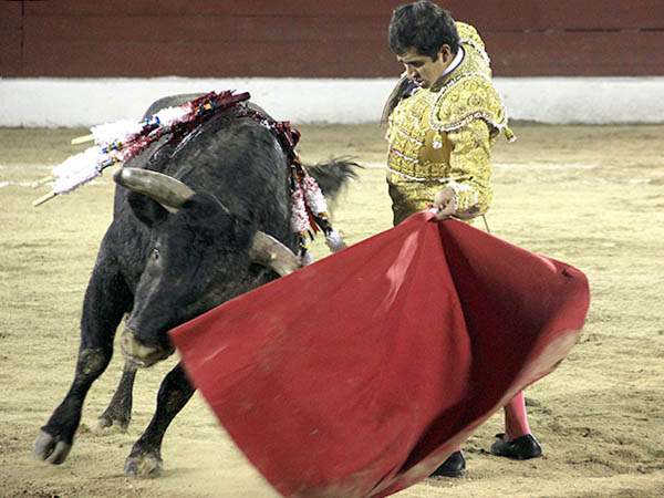 Consintiendo al c�rdeno