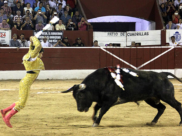 De nuevo a banderillar