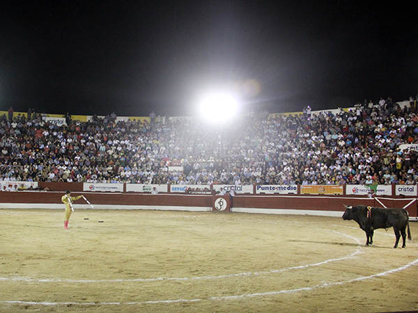 Llenazo en la Monumental