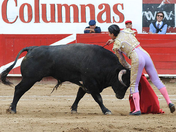 Entregados toro y torero